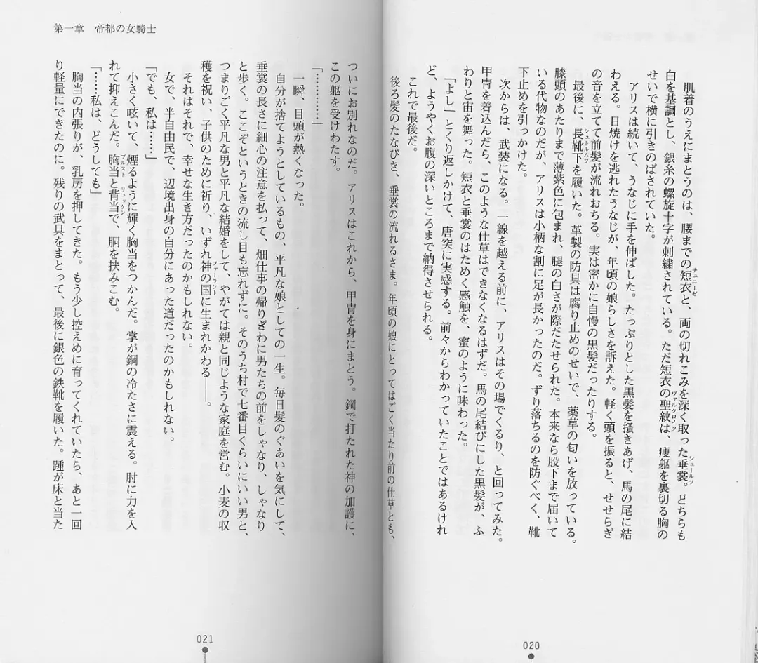 [Chiba Toshirou] Shiro no Rakuin I Fhentai - Page 12