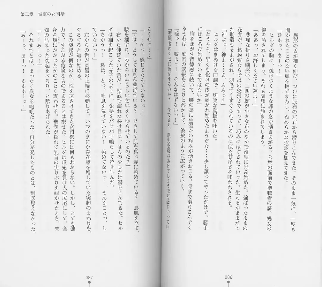 [Chiba Toshirou] Shiro no Rakuin I Fhentai - Page 45