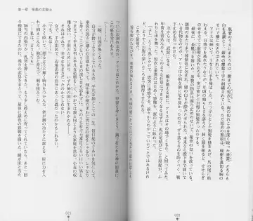 [Chiba Toshirou] Shiro no Rakuin I Fhentai - Page 12