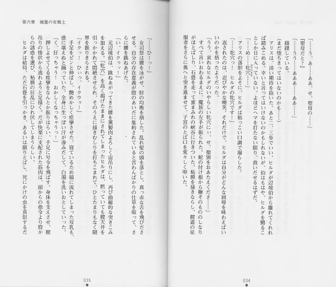 [Chiba Toshirou] Shiro no Rakuin II Fhentai - Page 20