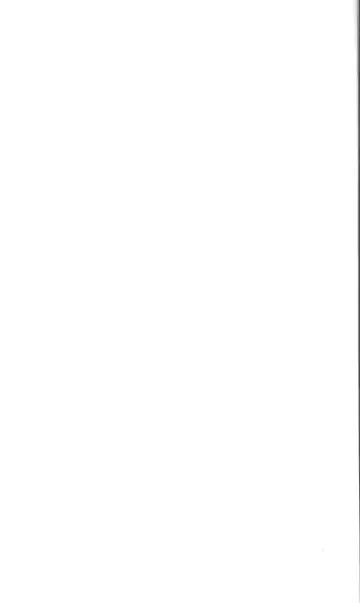 [Kou Siryou - Matsuzawa Kei] White Prison Gaiden - Aoi Nikumitsubana wa Mujihi na Setsuna ni Saki Niou Fhentai - Page 4