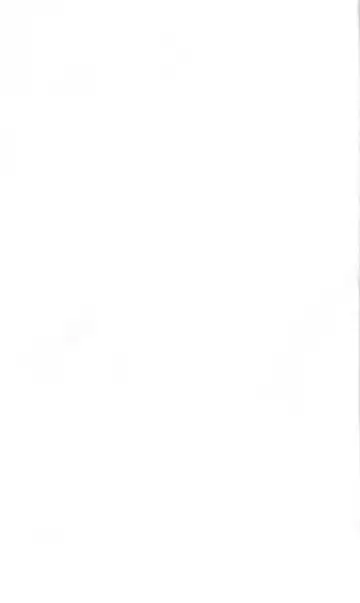 [Kou Siryou - Matsuzawa Kei] White Prison Gaiden - Aoi Nikumitsubana wa Mujihi na Setsuna ni Saki Niou Fhentai - Page 42