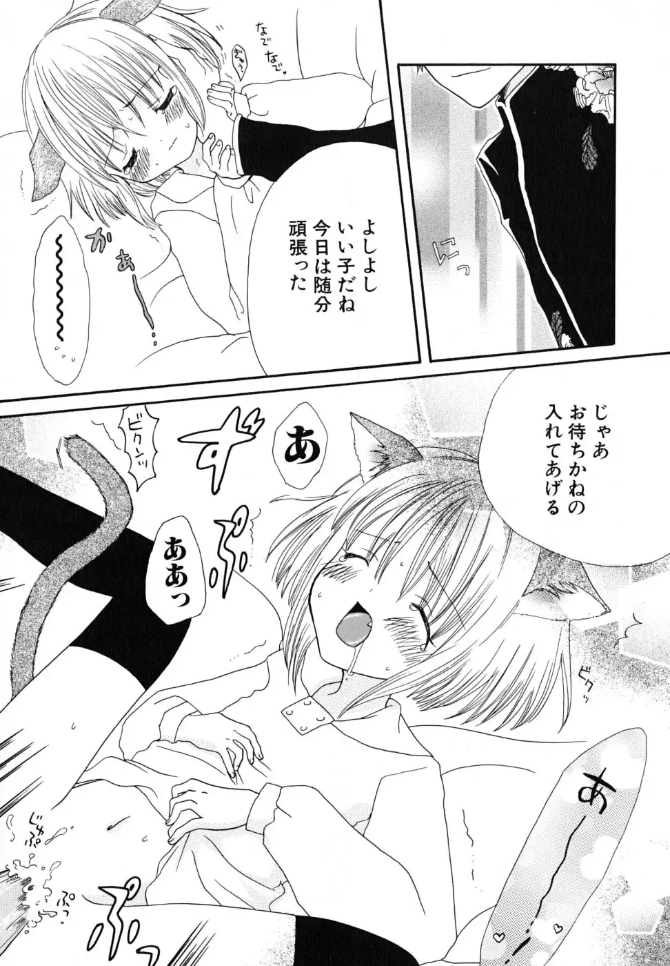 [Kirihara Kotori] Seijunbyou Fhentai - Page 115