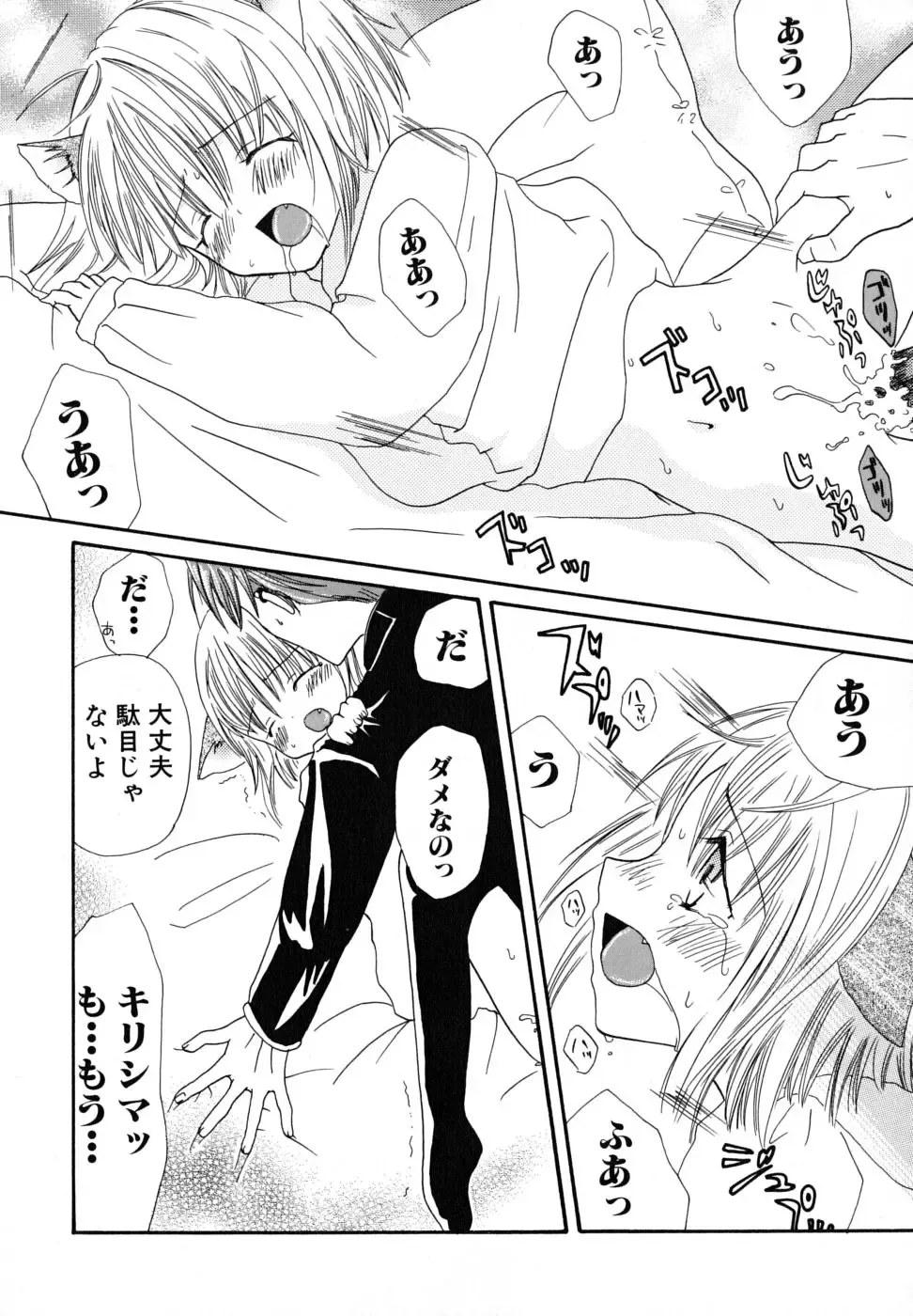 [Kirihara Kotori] Seijunbyou Fhentai - Page 116