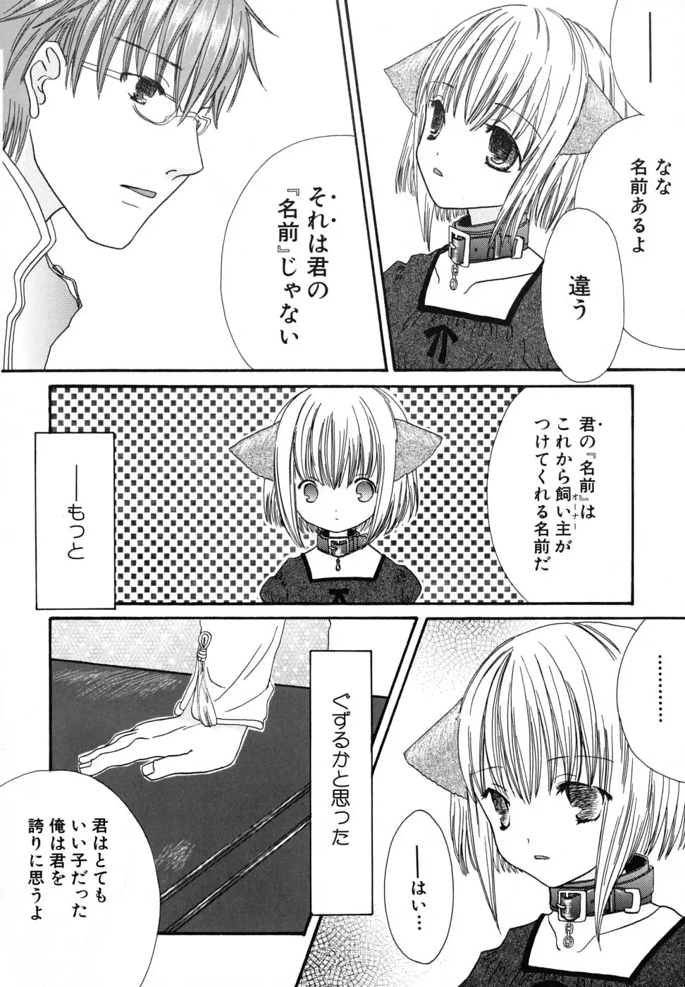 [Kirihara Kotori] Seijunbyou Fhentai - Page 149