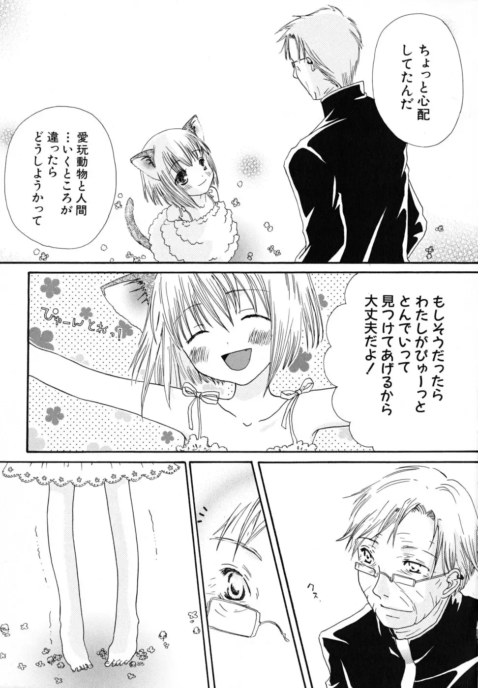 [Kirihara Kotori] Seijunbyou Fhentai - Page 164