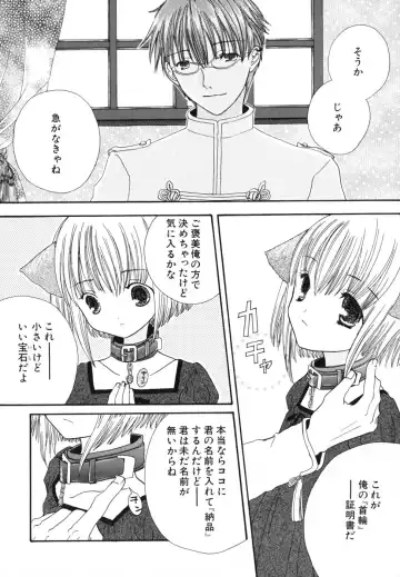 [Kirihara Kotori] Seijunbyou Fhentai - Page 148