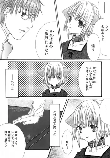 [Kirihara Kotori] Seijunbyou Fhentai - Page 149