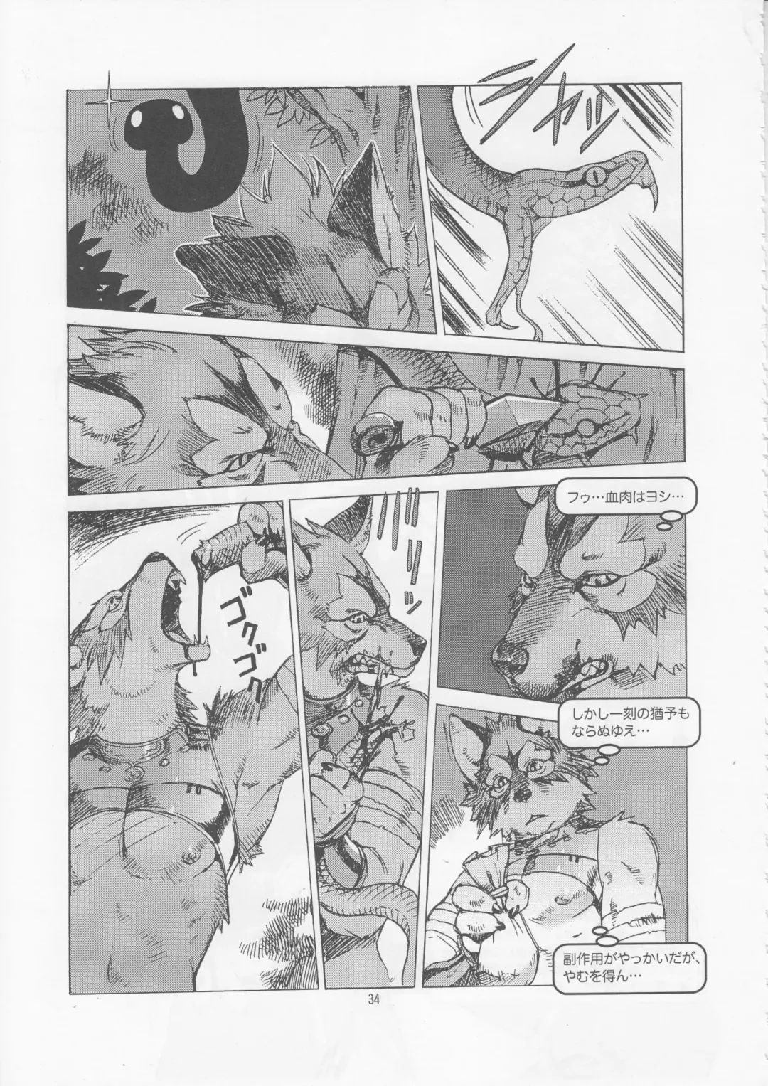 Kemono no Sho Juuyon - Book of The Beast 14 Fhentai - Page 33