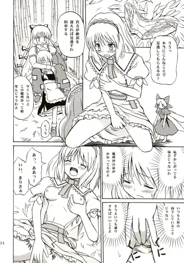 [Takaku Toshihiko] Touhou Youjo Ranbu Fhentai - Page 13