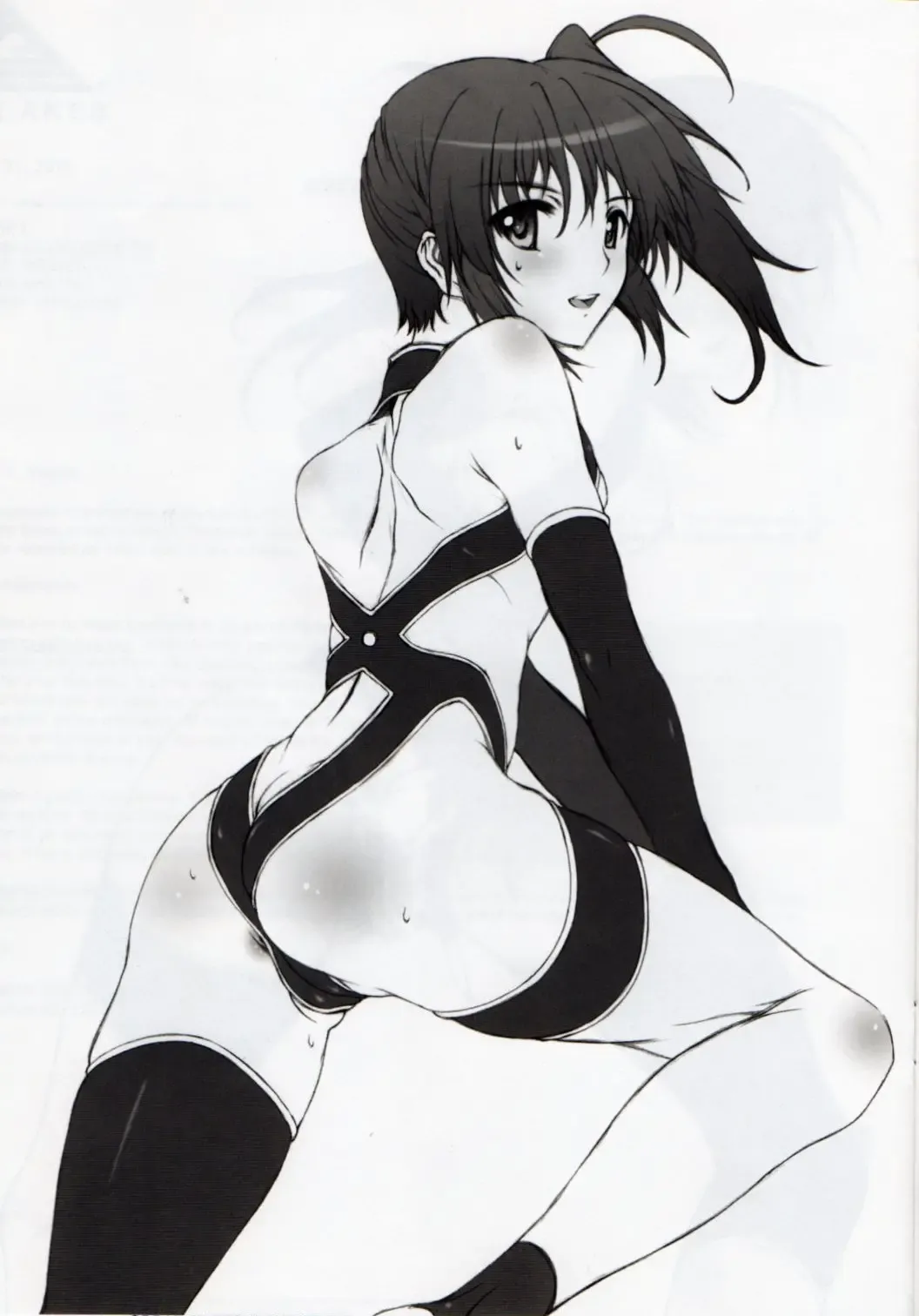 [Yatsushima Tetsuya] LMR/14 Fhentai - Page 4