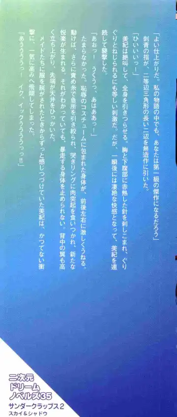 [Senbata Roh] Thunder Claps 2 - Sky & Shadow Fhentai - Page 3