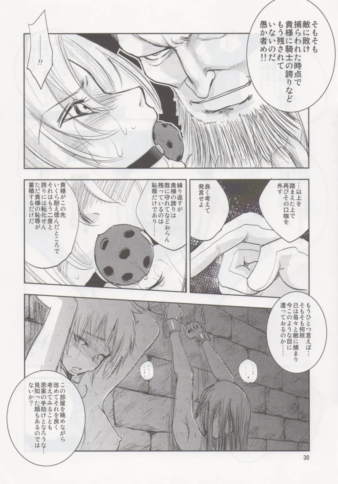 [Dpc] GRASSEN'S WAR ANOTHER STORY Ex #02 Node Shinkou II Fhentai - Page 29