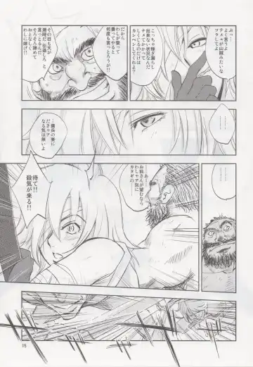 [Dpc] GRASSEN'S WAR ANOTHER STORY Ex #02 Node Shinkou II Fhentai - Page 14