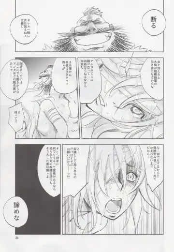 [Dpc] GRASSEN'S WAR ANOTHER STORY Ex #02 Node Shinkou II Fhentai - Page 24