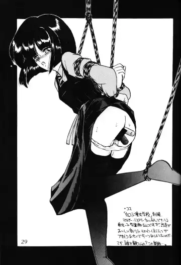 Silent Saturn SS Vol. 7 Fhentai - Page 29