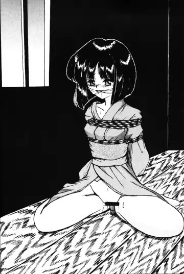 Silent Saturn SS Vol. 7 Fhentai - Page 32