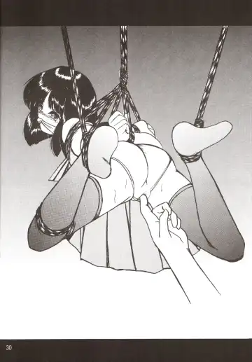 Silent Saturn SS Vol. 9 Fhentai - Page 29