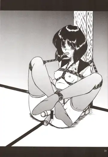 Silent Saturn SS Vol. 9 Fhentai - Page 30