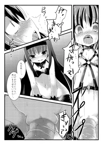 [Lilithlauda] Ryoujoku shoujo Homura ☆ Sadoka Fhentai - Page 12