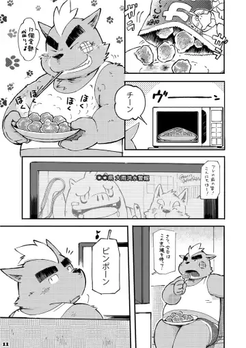 [Kinoshita Jiroh] Mekko Rarekko 3 Fhentai - Page 11