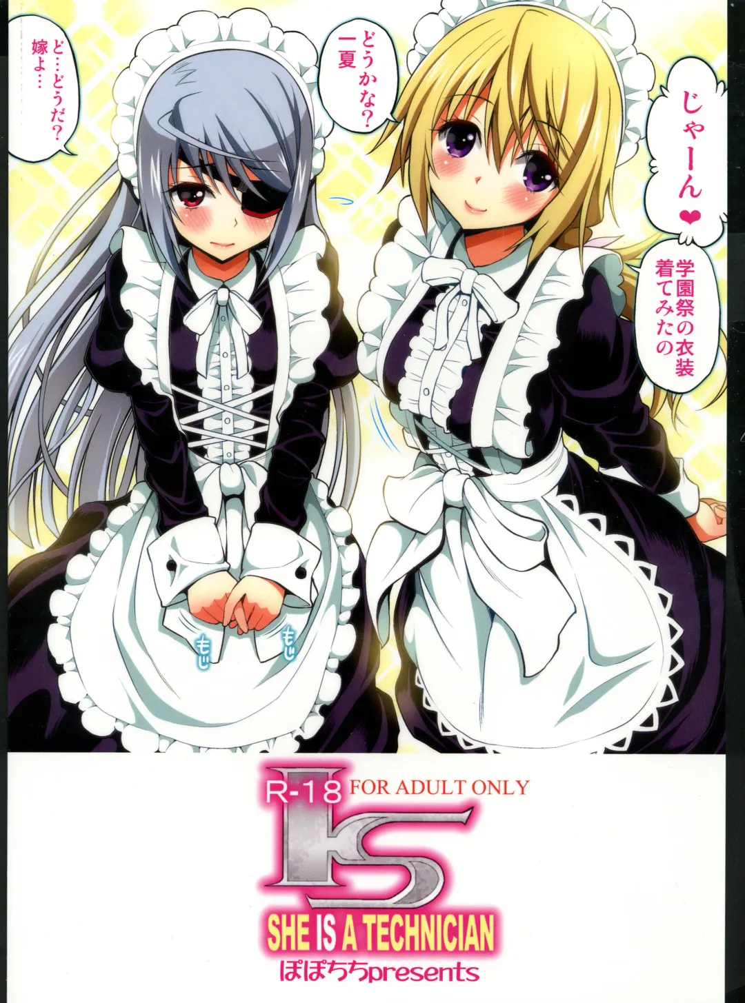 [Yahiro Pochi] SHE IS A TECHNICIAN Fhentai - Page 2