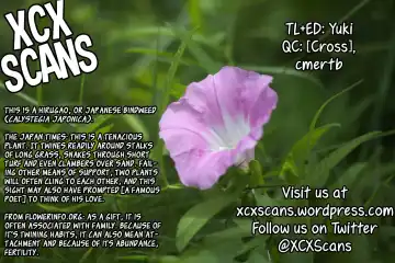 [Hyouju Issei] Hirugao no Hana Fhentai - Page 27