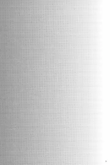 [Bee] Doddy Bunny Fhentai - Page 25