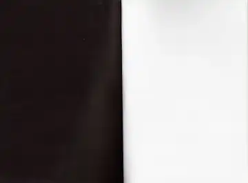 [Yamaguchi Shinji] Modern Samurai X Fhentai - Page 2