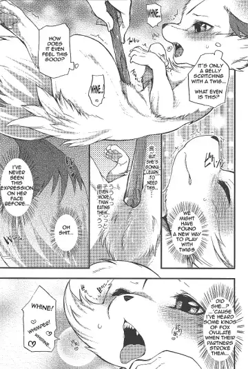 [Inumimi Moeta] Roman de Renart Fhentai - Page 12