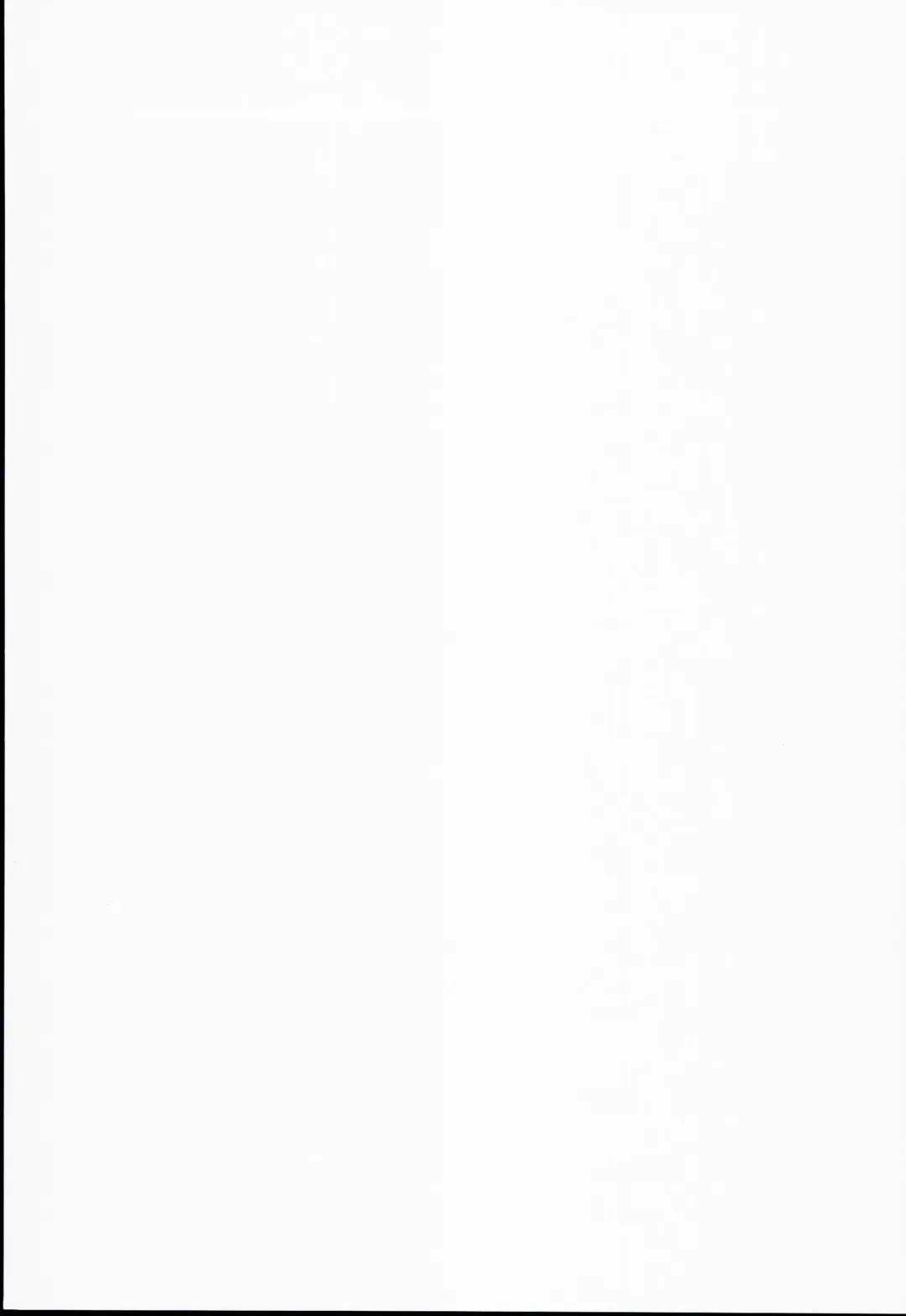 [Raidon] Kitamama Fate-chan Fhentai - Page 2