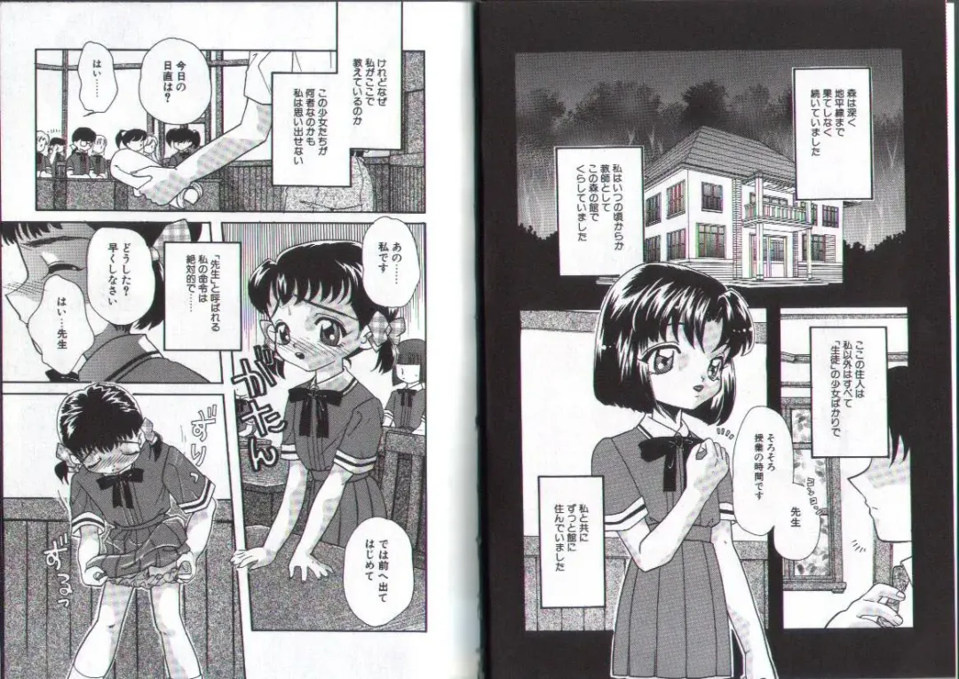 [Mana-ko] Ragunagu Fhentai - Page 5