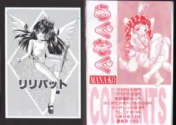 [Mana-ko] Ragunagu Fhentai - Page 4