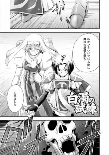 [Faith] Seinaru Tatakai Fhentai - Page 18