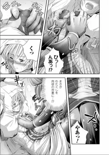 [Faith] Seinaru Tatakai Fhentai - Page 24