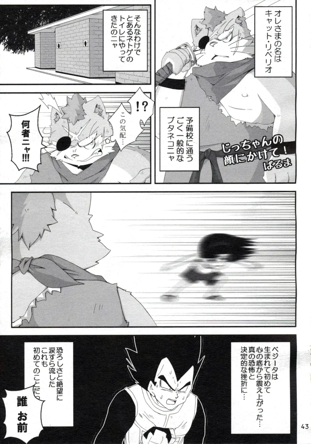 [Chibineco Master - Yuzupoco] MIRISHICA8 DARKSIDE Fhentai - Page 43