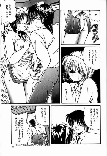 [Sasaki Mizuki] Otome Chikku Sensation Fhentai - Page 71