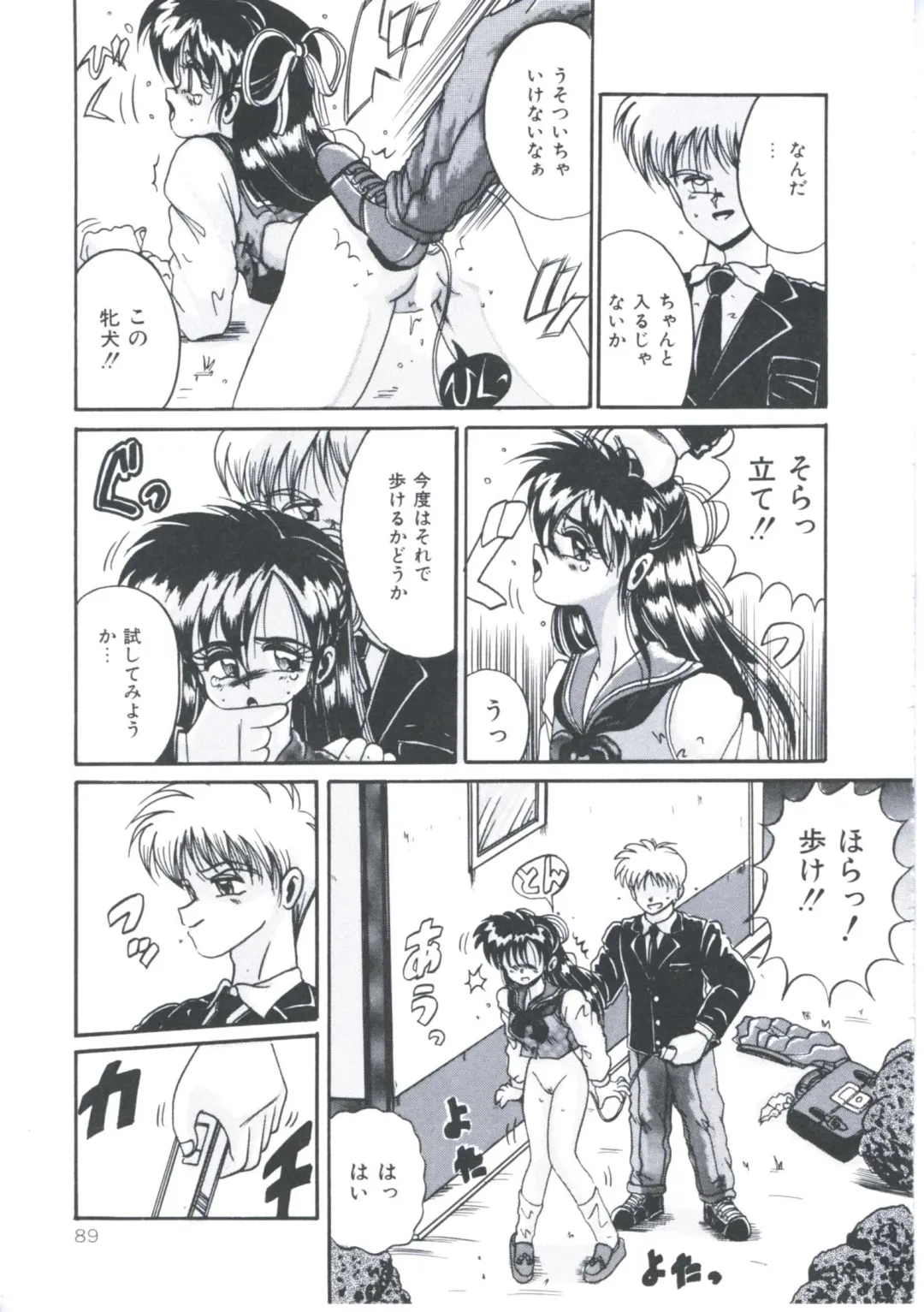 [Irotsuki Sakari] Kawareteru Himegimi Fhentai - Page 91