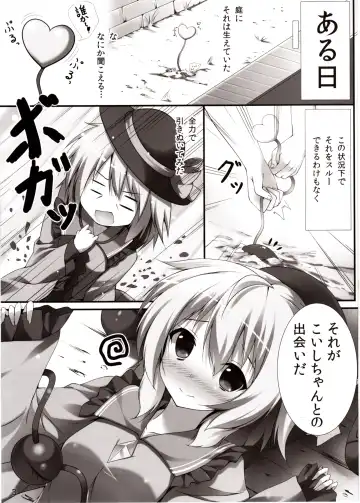 [Niro] Koishi Ecchi Fhentai - Page 2