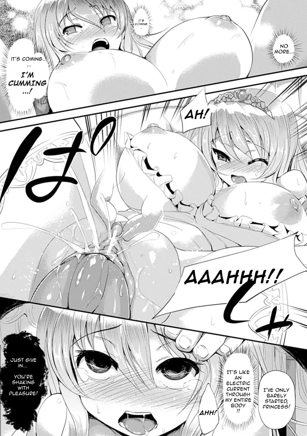 [Yukimaro Yukky] Marionette Princess Fhentai - Page 12