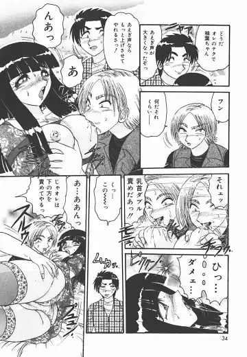 [Harukaze Saki] Immoral Fhentai - Page 34