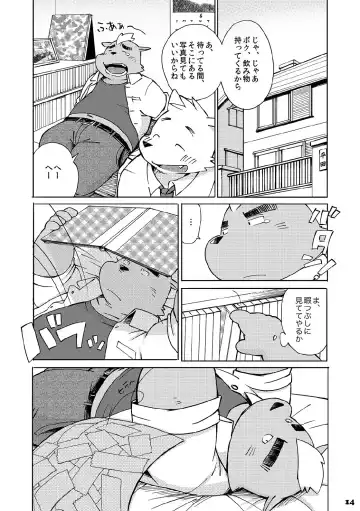 [Kinoshita Jiroh] Mekko Rarekko Fhentai - Page 13