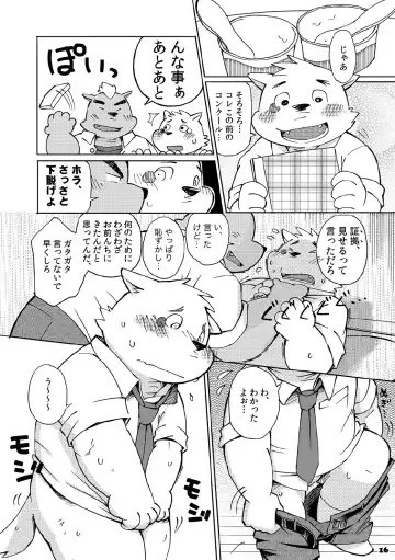 [Kinoshita Jiroh] Mekko Rarekko Fhentai - Page 15