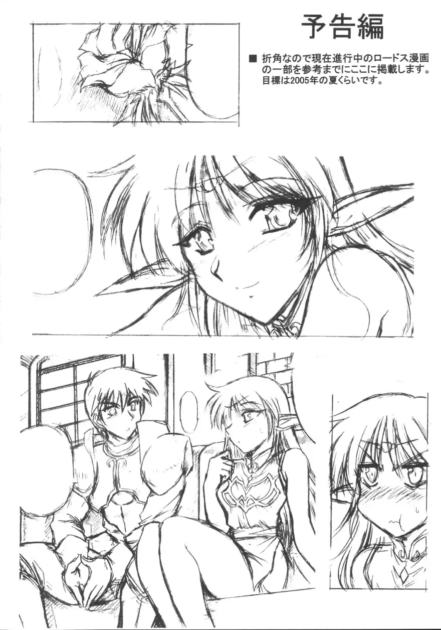 [Oujano Kaze] Light and Darlnell Fhentai - Page 23