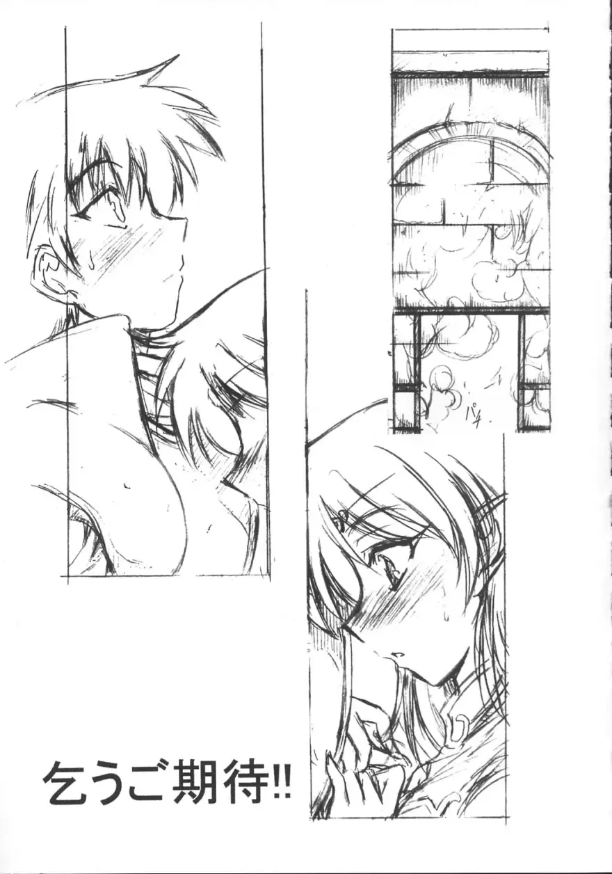 [Oujano Kaze] Light and Darlnell Fhentai - Page 24