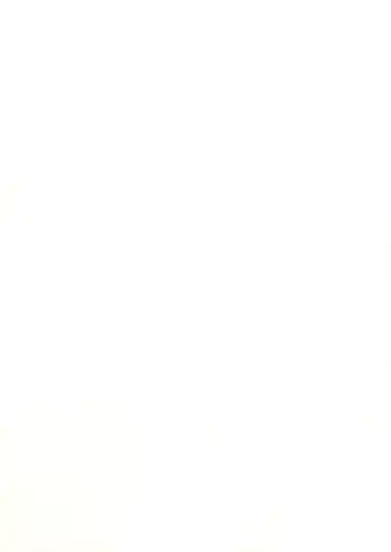 [Koiko Irori] Funyan no Koto Hirotteyo! Fhentai - Page 13