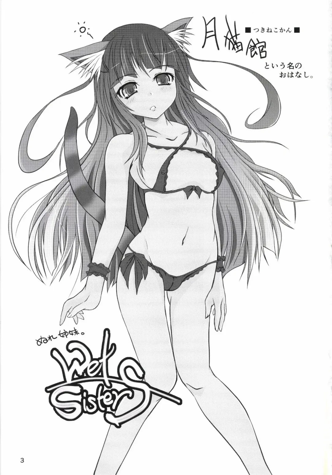 [Nekonta] Wet Sisters Fhentai - Page 3