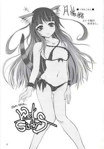 [Nekonta] Wet Sisters Fhentai - Page 3