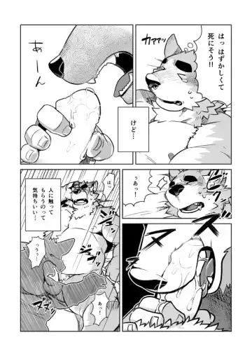 [Syukouakanaru] Shiroi-kun no Shakai Kengaku Fhentai - Page 20