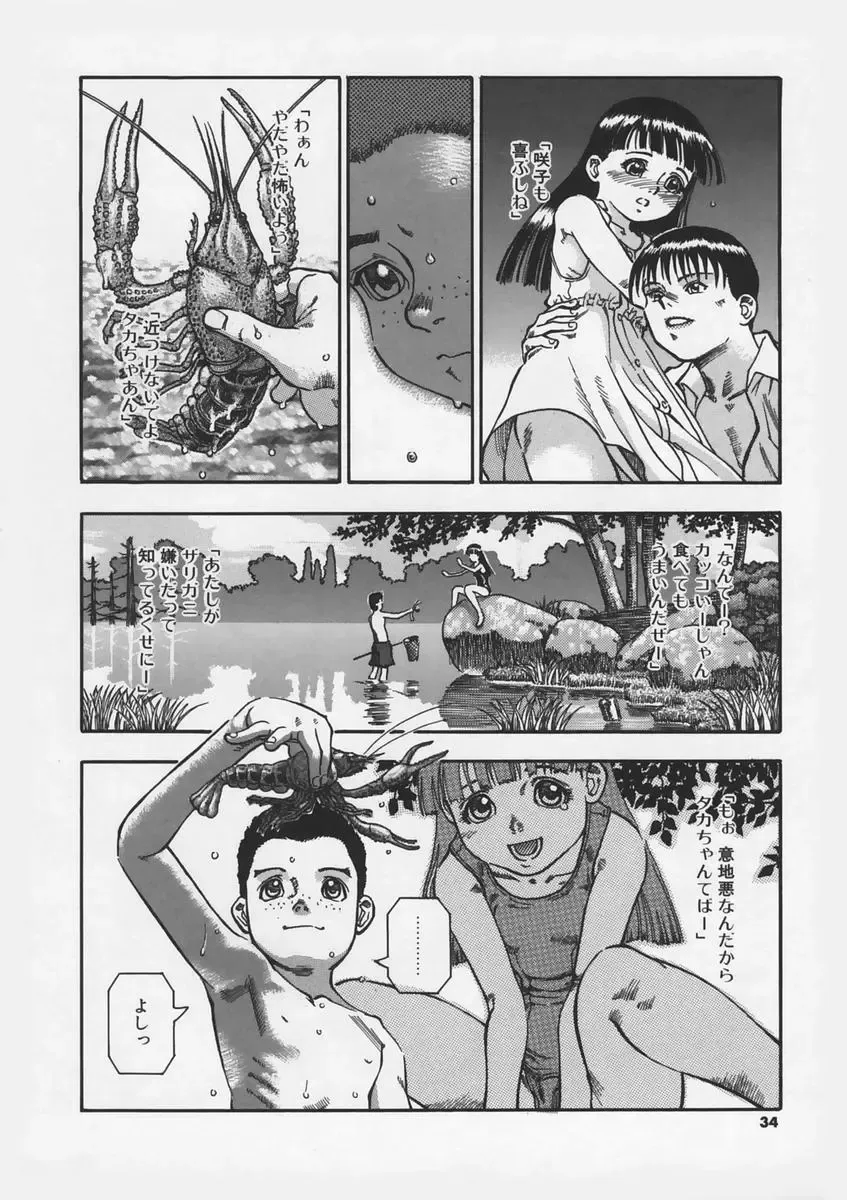 [Ashika] Hankouki Fhentai - Page 36